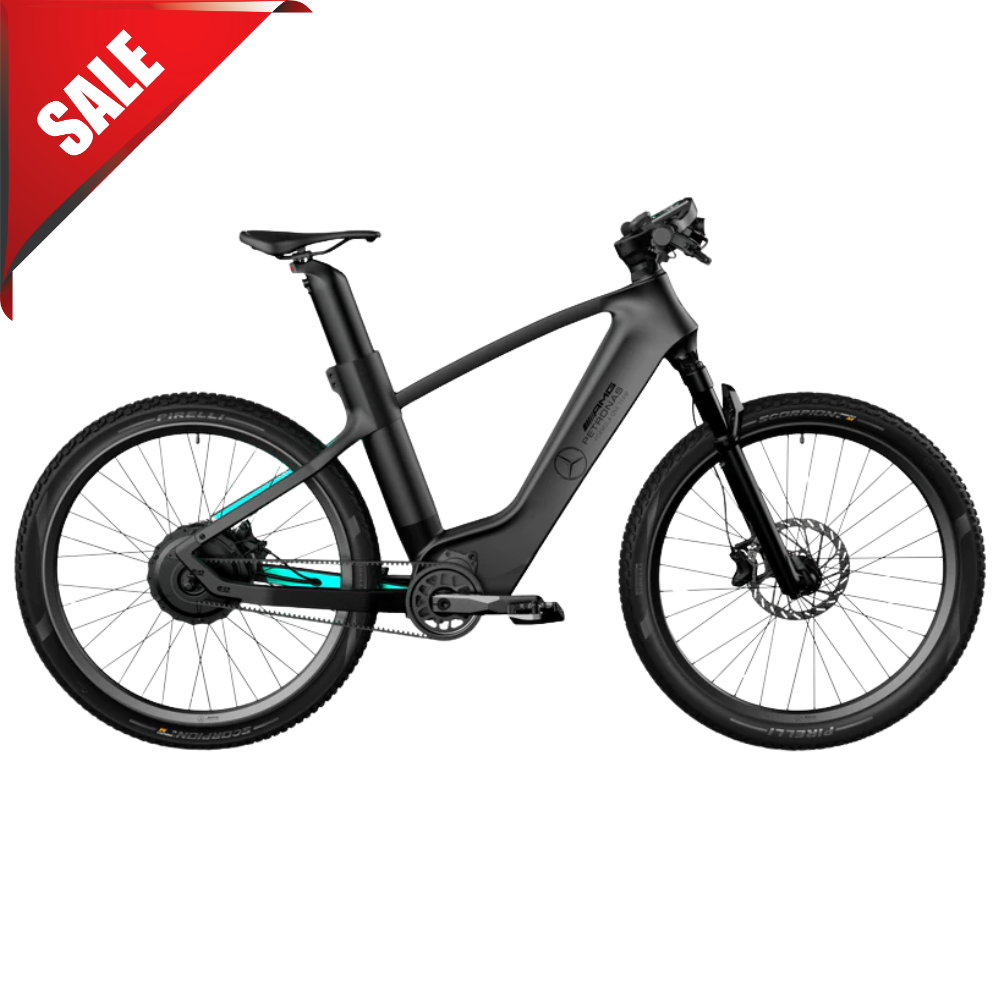 VoltRider™ Elektrofahrrad