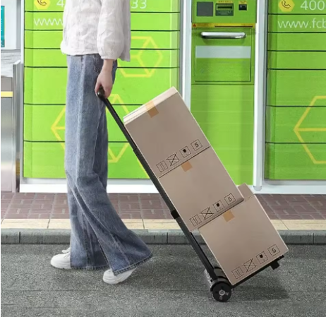 LiftCaddy™ Treppenkletterer