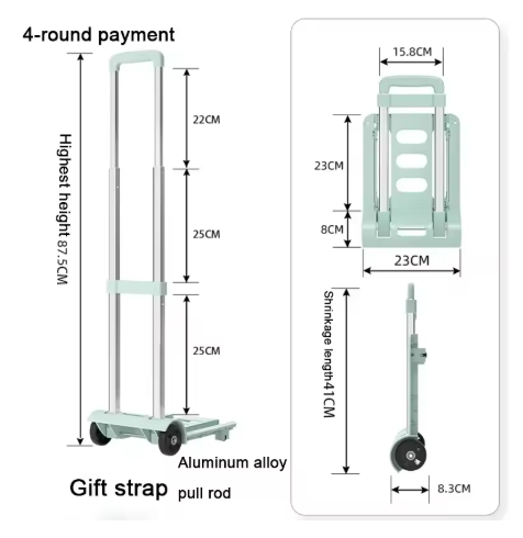LiftCaddy™ Treppenkletterer