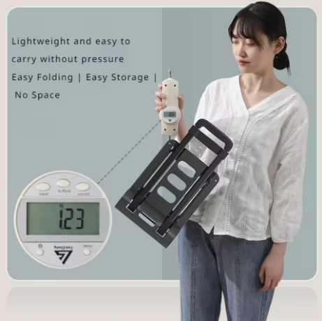LiftCaddy™ Treppenkletterer